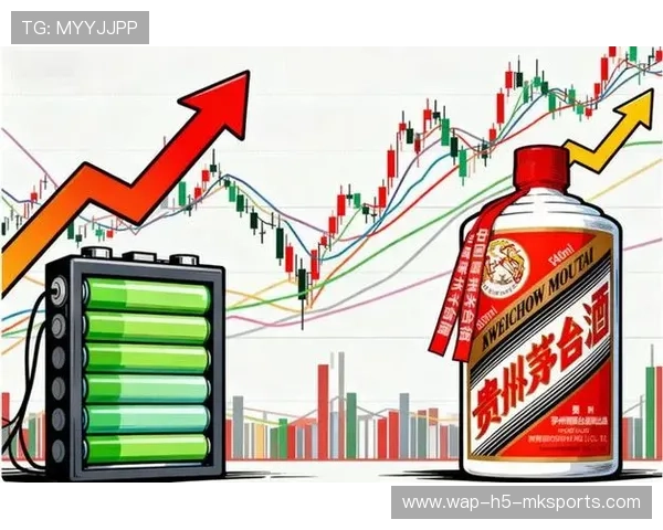 市值第一宝座易主！宁王击败茅台的背后逻辑，宁王ning