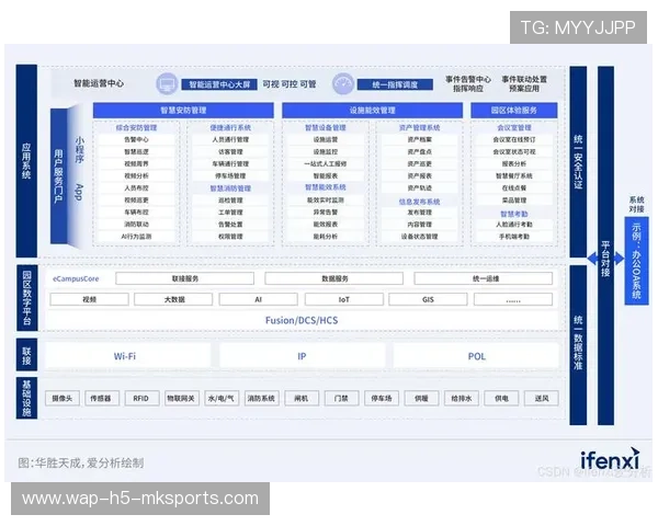 体系分析报告：完成